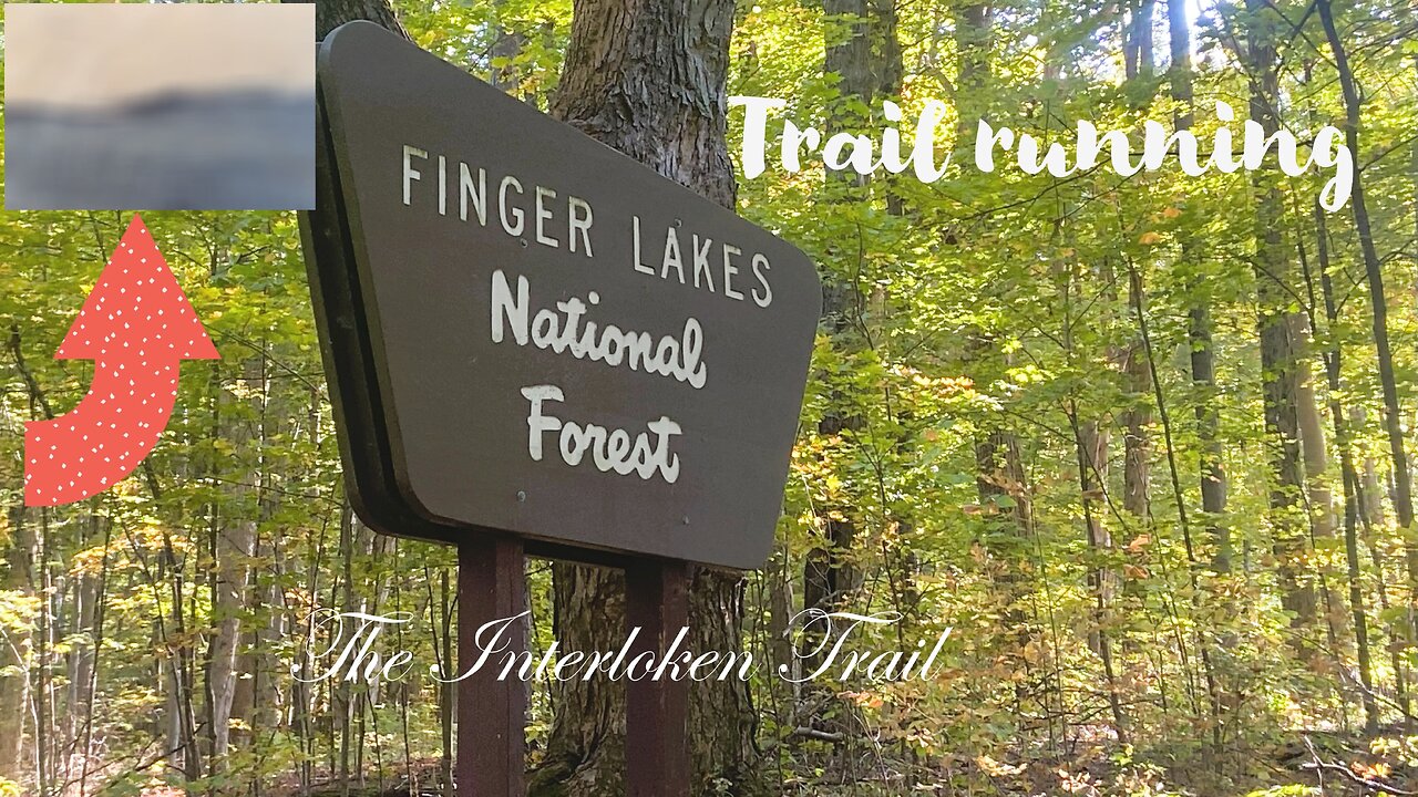 You won't believe the views I saw on the Interloken trail