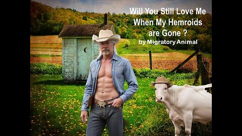 'WILL YOU STILL LOVE ME WHEN MY HEMROIDS ARE GONE' by Migratory Animal