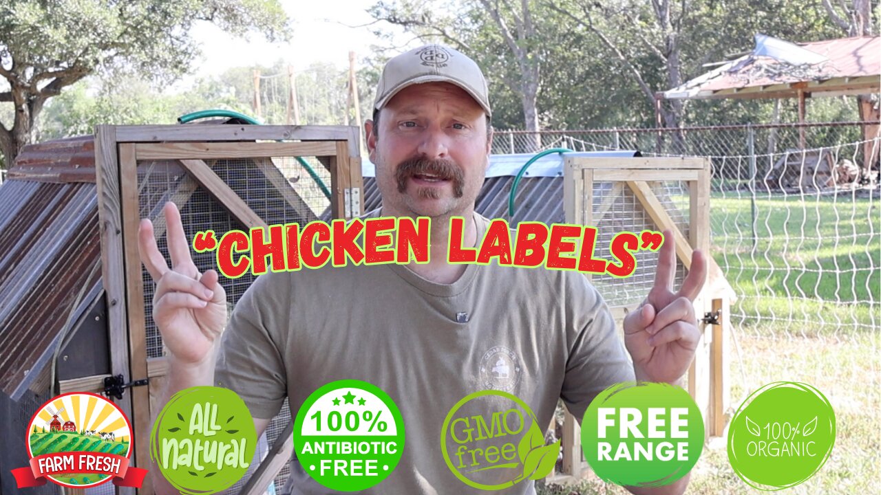 Not ALL Chicken is Created Equal - Understanding What Labels Mean