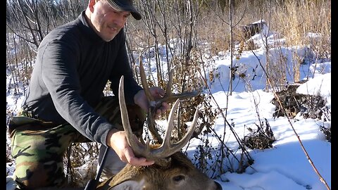 Alberta Whitetail 2022