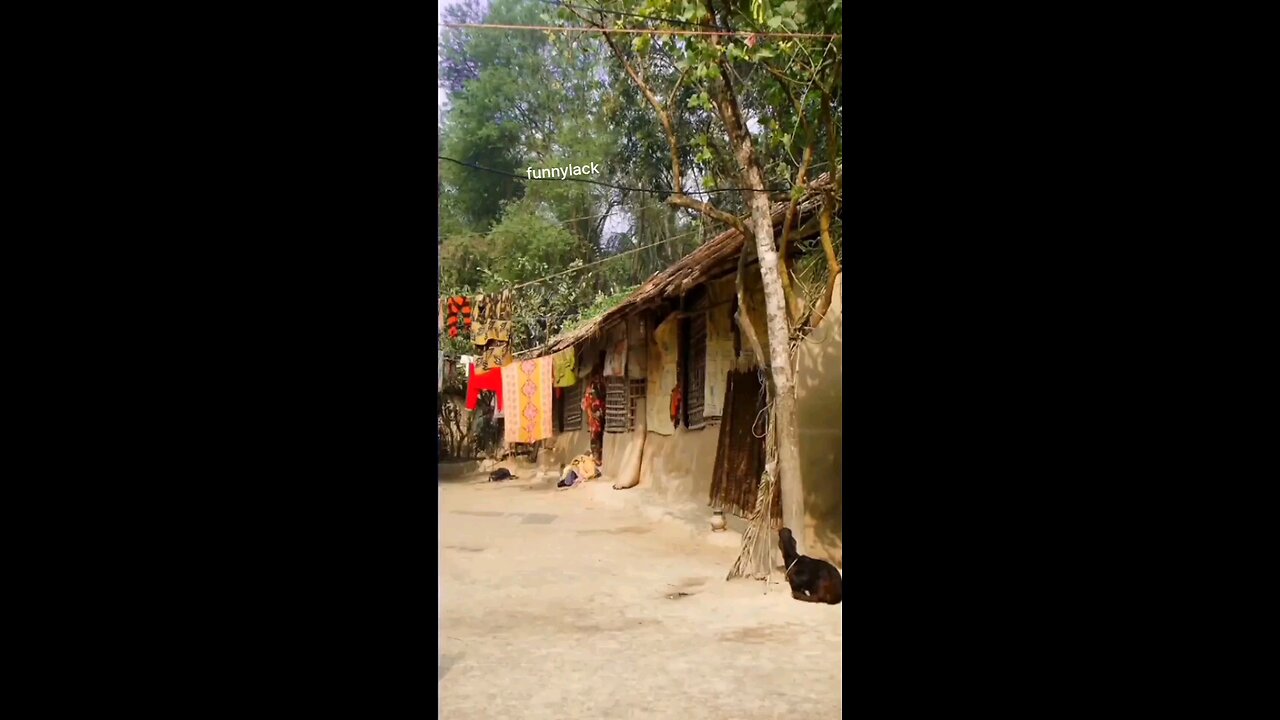 शेर यहा आया था