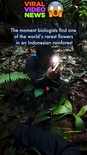 Biologists have discovered a rare flower in the forests of Indonesia