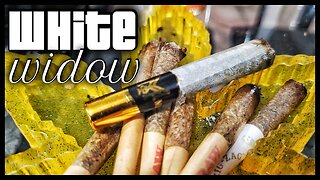 Muha Meds White Widow Mat'e