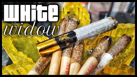 Muha Meds White Widow Mat'e