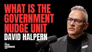 What is the Government Nudge Unit? I David Halpern x Peter McCormack Podcast