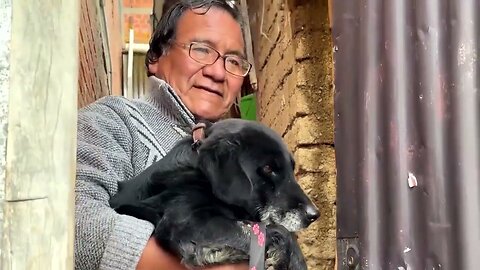 Abandoned pets rescued after landslide in Bolivia's La Paz | REUTERS