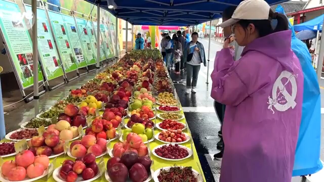 Chinese farmers harvest festival kicks off