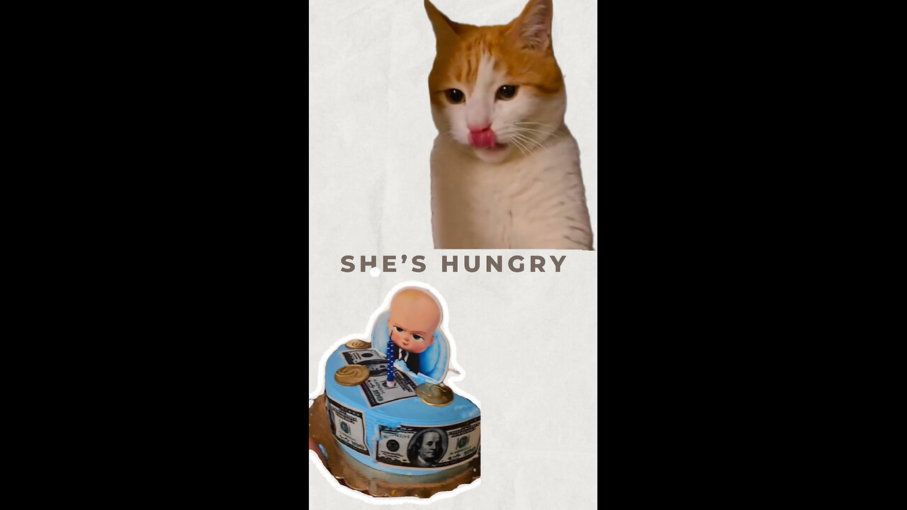 A cake-eating cat?