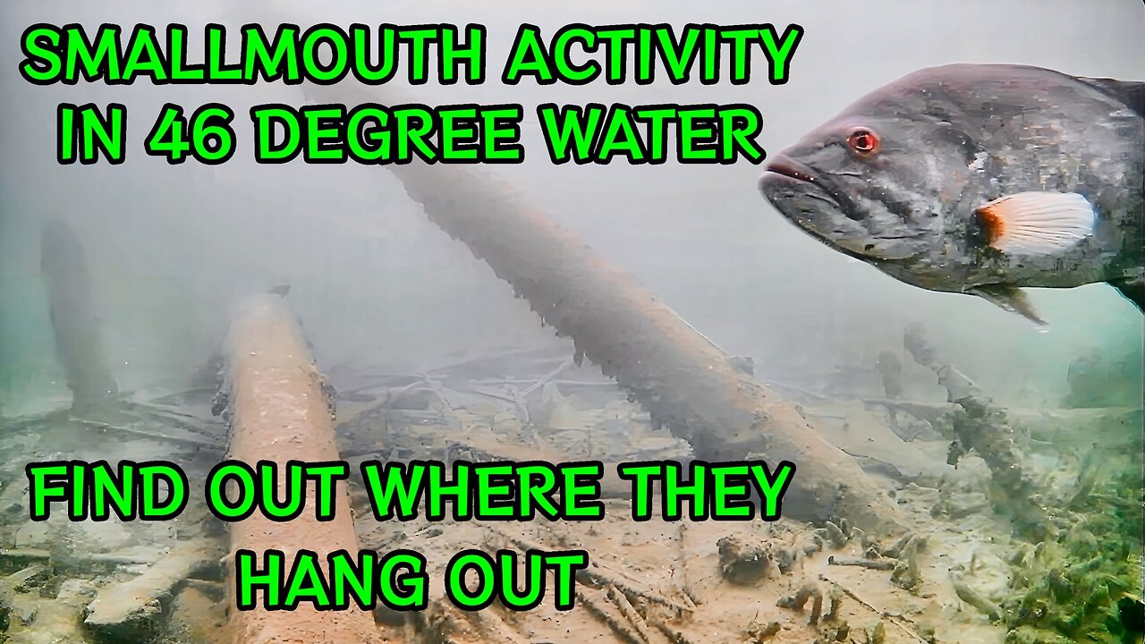 SMALLMOUTH UNDERWATER ACTIVITY IN 46 DEGREE WATER