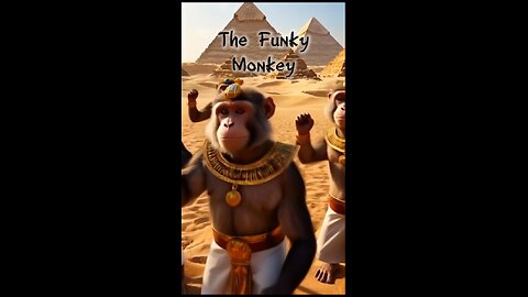 The Funky Monkey