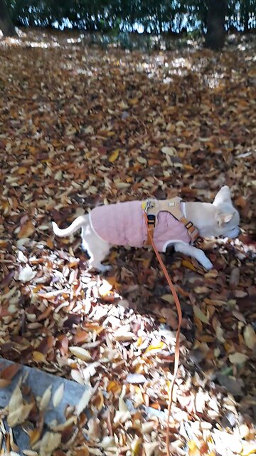 20251110. God is Love.