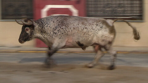 2025 09 27 BETXÍ PATRONALES