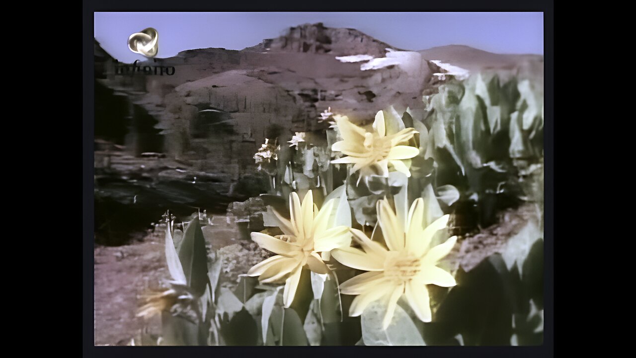 Plantas Sagradas (2000)