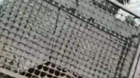 🚜🇺🇦 Ukraine Russia War | Abandoned Ukrainian M113 APC | RCF