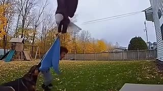 BEST video of DOGS Saving kids!