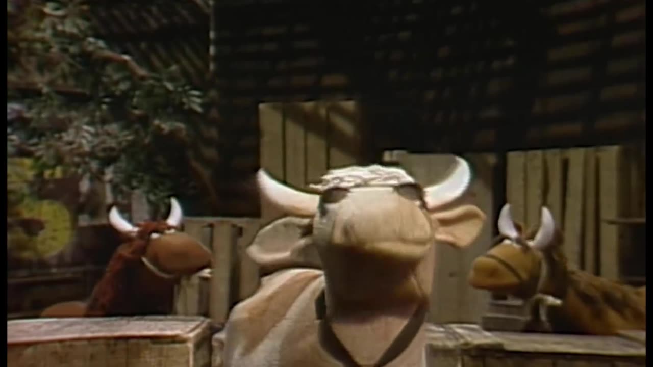 Sing, Hoot and Howl With The Sesame Street Animals