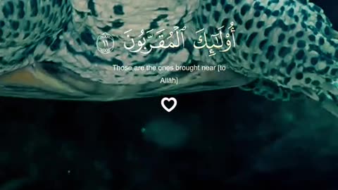 Jazakallah Subahanallah ♥️✨🕊️