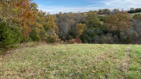 Nature walk on my farm