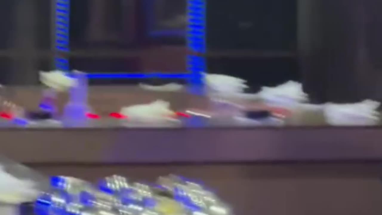 Gastoz - Stefanbraun