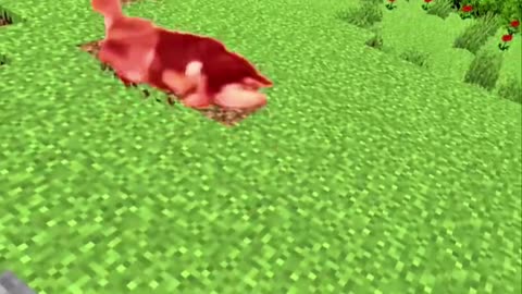Puppy wants to destroy