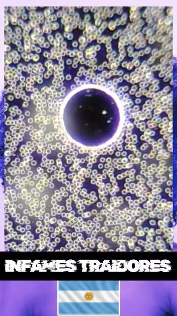 LOS VACUNADOS TIENEN LA SANGRE ENVENADA