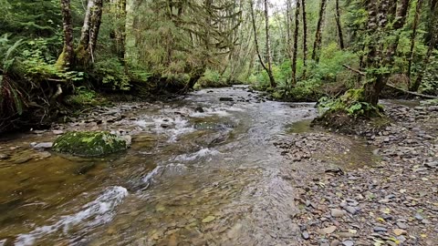 Creek