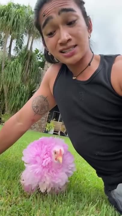 Wow this is amazing take a look