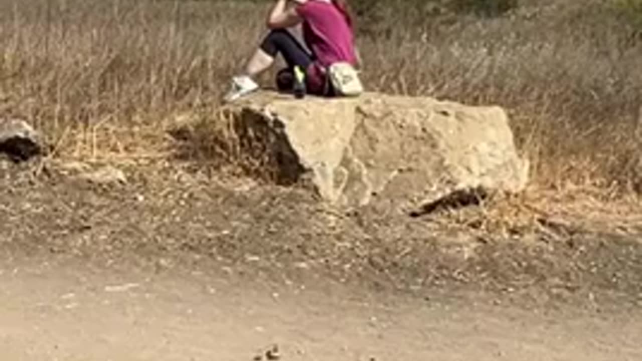 🛸🤯 Incredible Jellyfish UFO Spotted While Filming in Ventura County! | TheTruthAbove