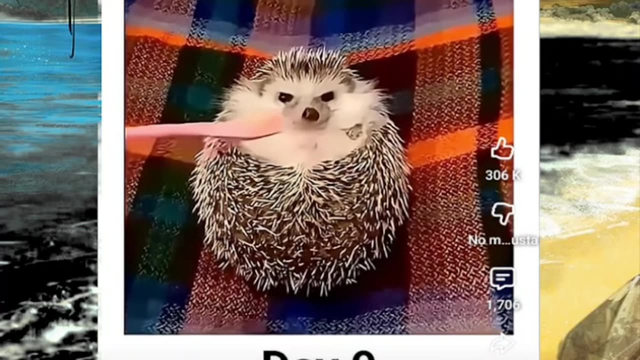 Just shorts videos - Follow 😜😋!!!!!!!