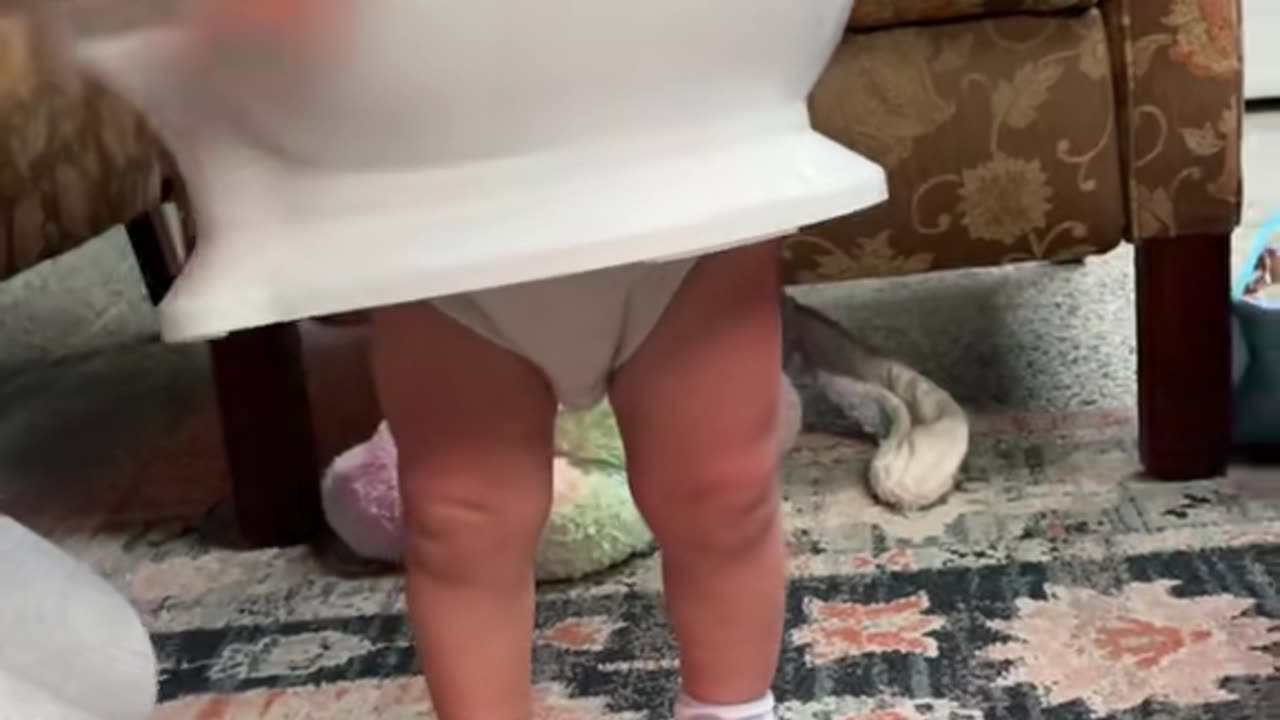 Toddler Gets Stuck in the Potty