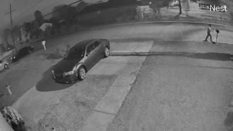 Google Nest Cam Mailbox Vandalism Caught On Camera Viral #nest #criminal #viral #mail #usps