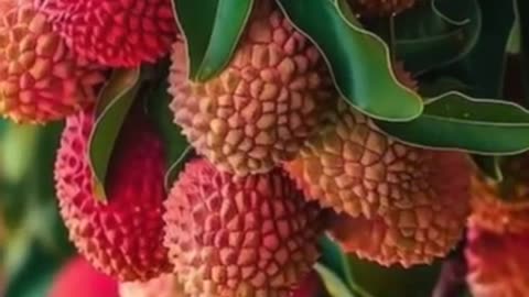 Two benefits of eating litchi