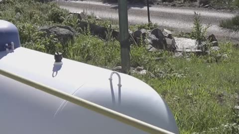 6 Propane Storage Rules That Could Save Your Life #safety #propane #homeowner