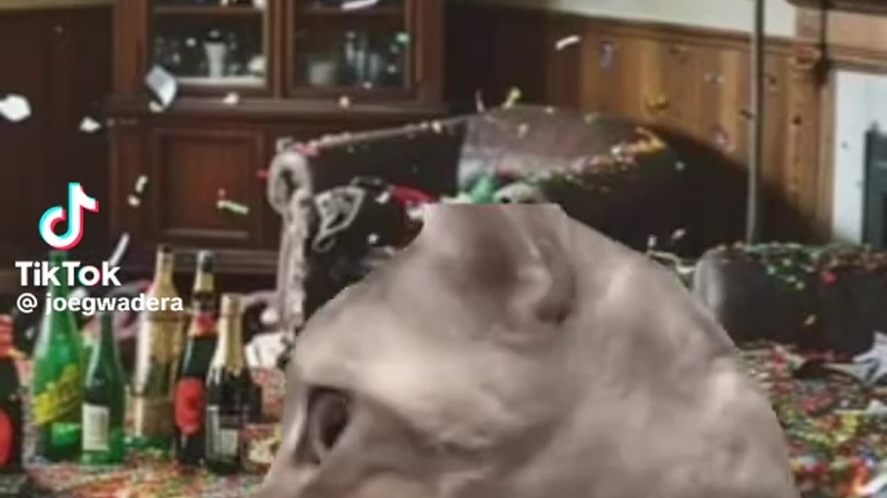 Waking up on New Years Day after a 😝New Years Eve party