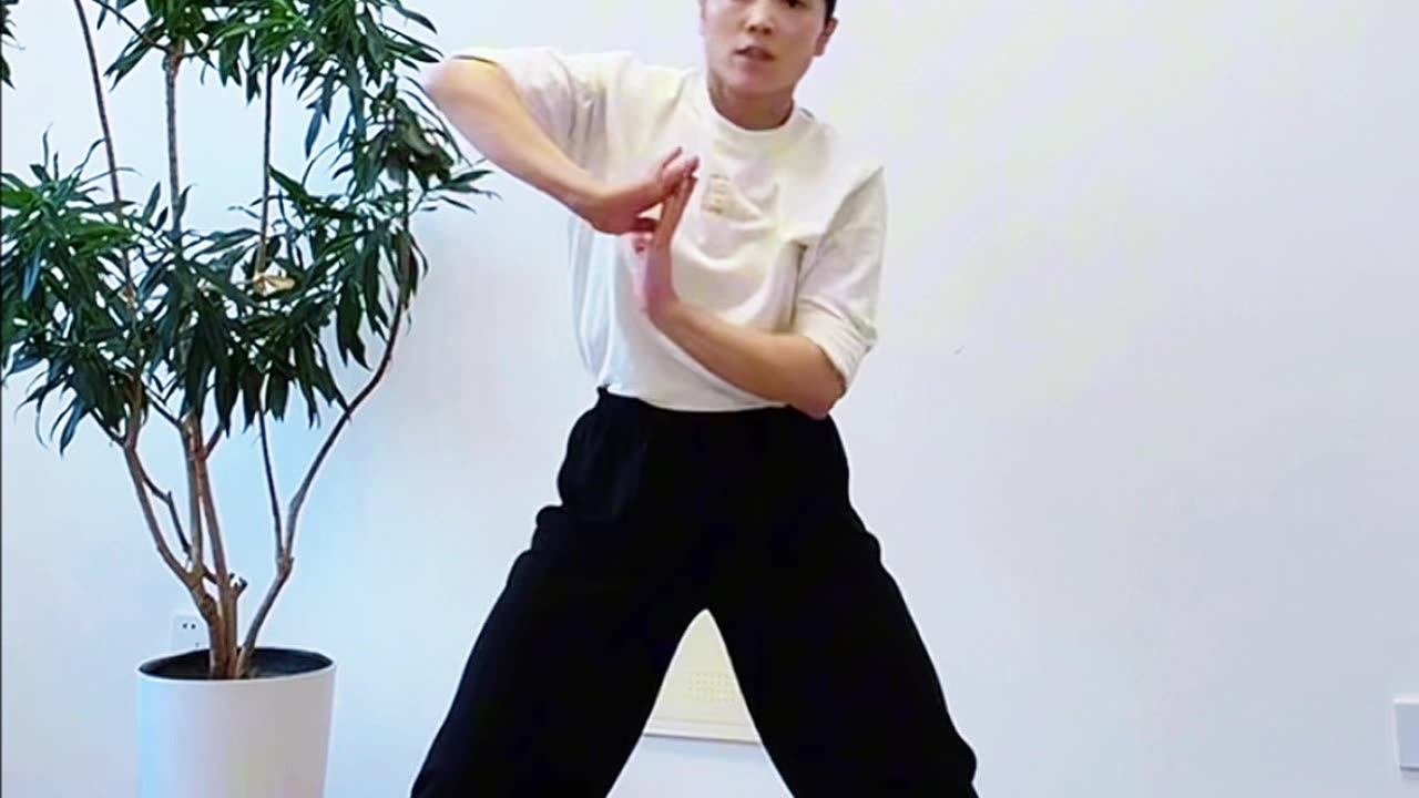 1111.脊椎髖胯腿勁整體練