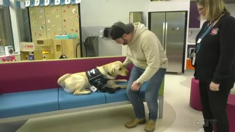 Dog joins the staff at the Stolley Children's Hospital