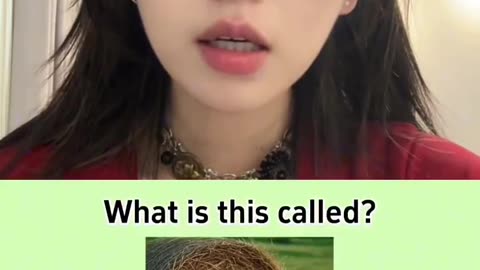 She Ain’t Wrong Though 💯😭