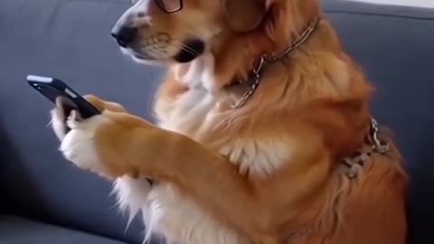 Nowadays even dogs are fond of mobile phones