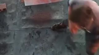 🤯✨ Watch This Machine In Action! | FeedMyCuriosity