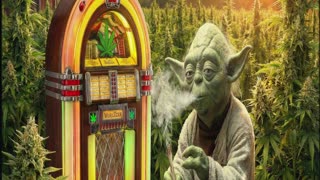 LIVE Thanksgiving Eve VIDEO MUSIC Watch Party!