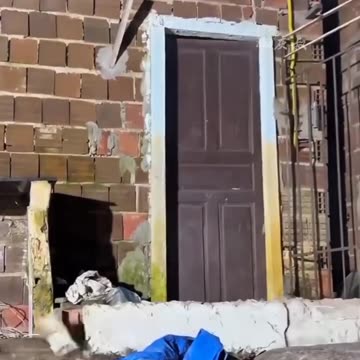 Funniest Video Compilation | Try Not to Laugh! 😂