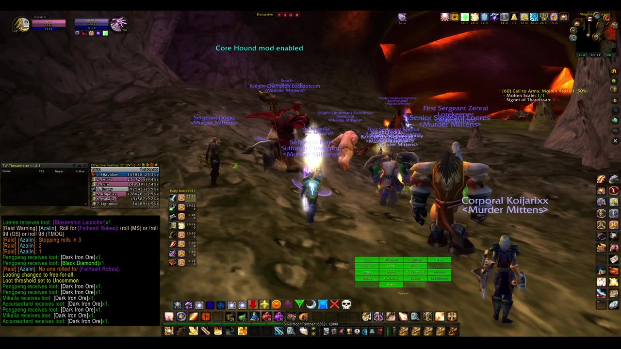 Turtle Wow - PUG MC - Paladin POV