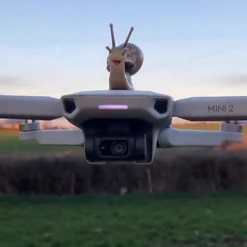 Taking the experience all in 😊