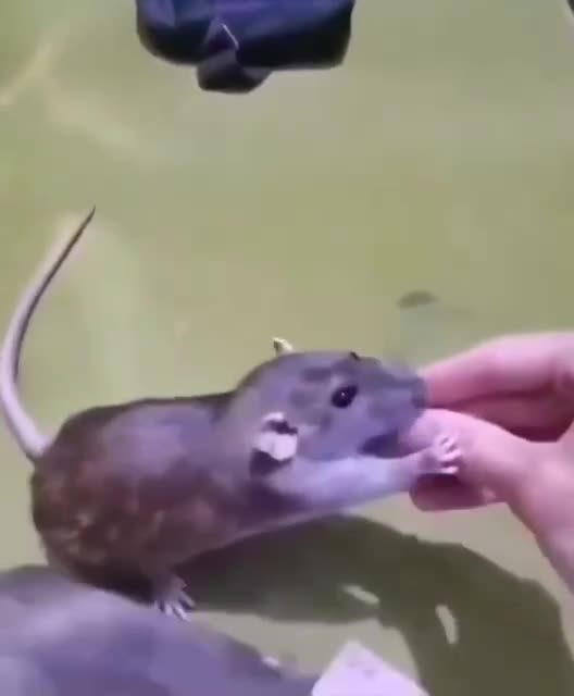 When you have a product that is in high demand