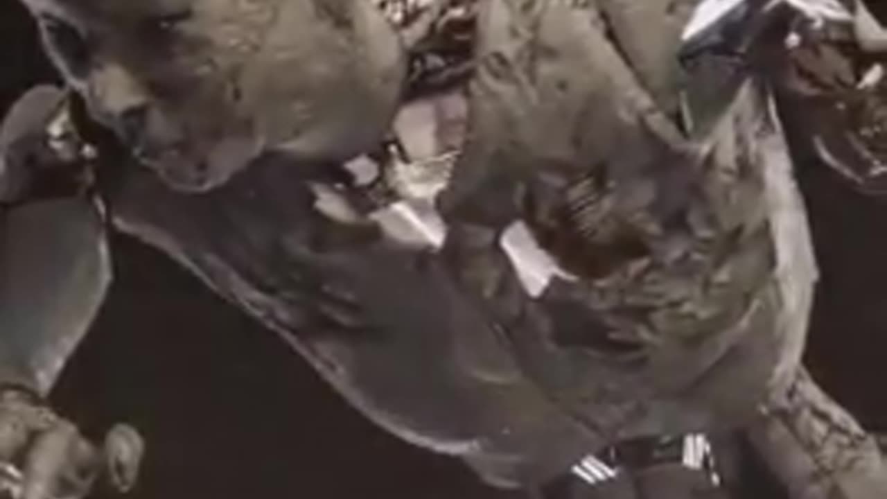 A Masonic and Transhumanism celebration