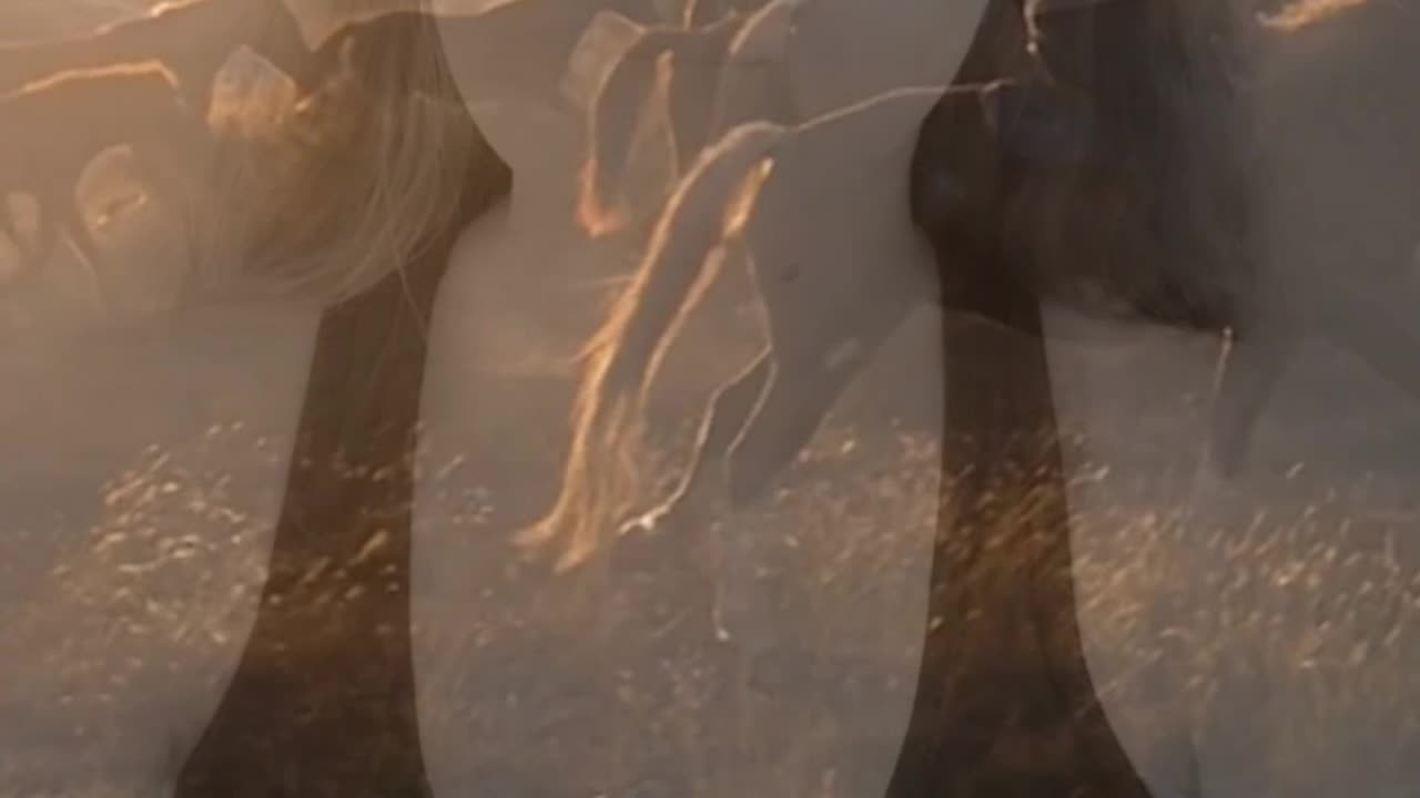 She's a wild one 💕