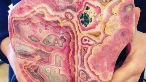 “They Call It Pareidolia — But the Evidence Speaks for Itself”