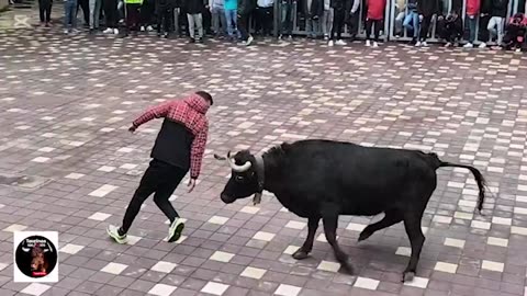 PARLEM DE BOUS 16dic2025