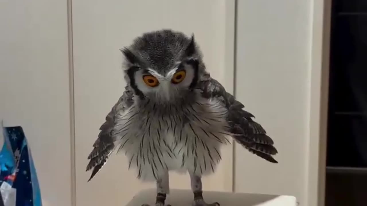 Confused Defense Mode