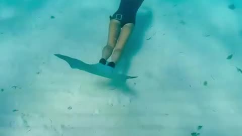 @aassaccoo Fins inherited from my sister